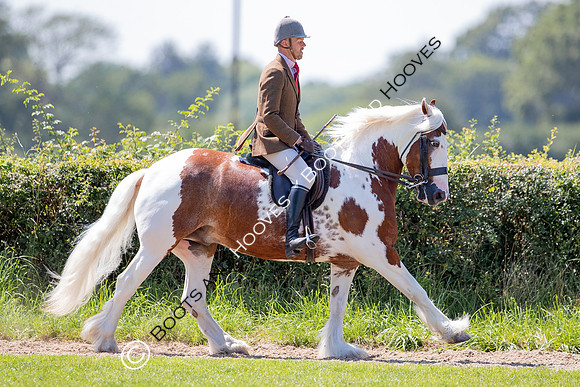The Prenetics Royal International Horse Show