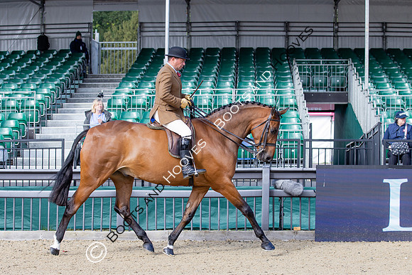 Royal Windsor Horse Show