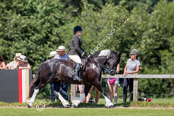 The Prenetics Royal International Horse Show