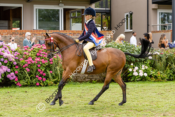 The Agria Royal International Horse Show