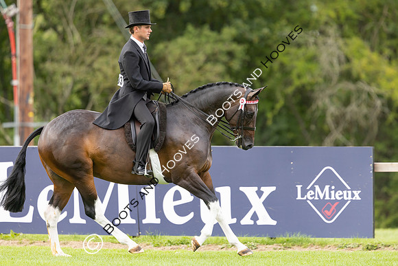 The Royal International Horse Show