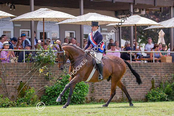 The Prenetics Royal International Horse Show