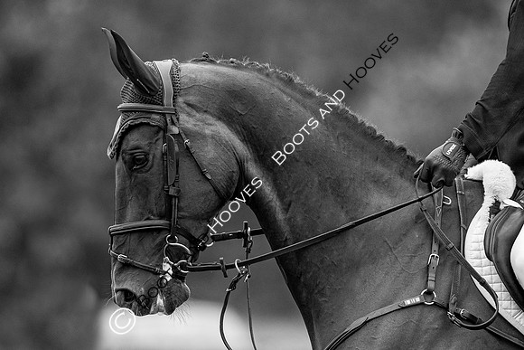 The Prenetics Royal International Horse Show