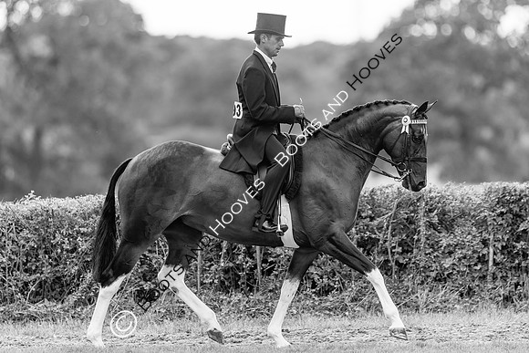 The Royal International Horse Show