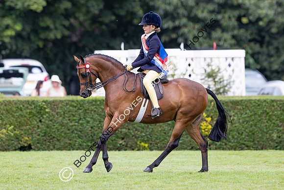 The Agria Royal International Horse Show