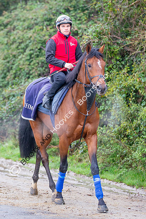 Newmarket