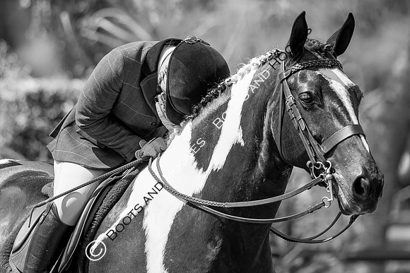 The Prenetics Royal International Horse Show