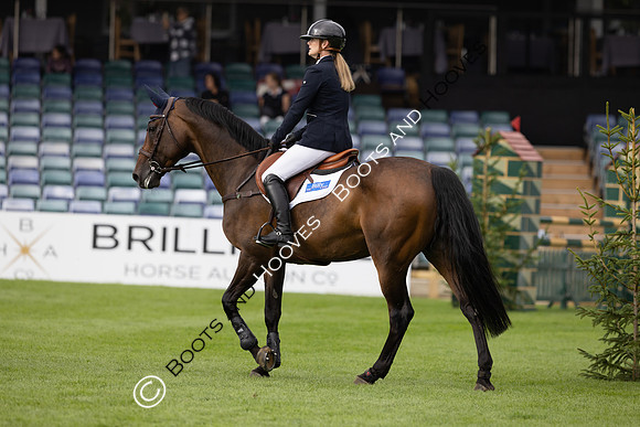 The Agria Royal International Horse Show