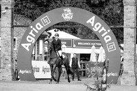 The Agria Royal International Horse Show