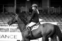 The Agria Royal International Horse Show