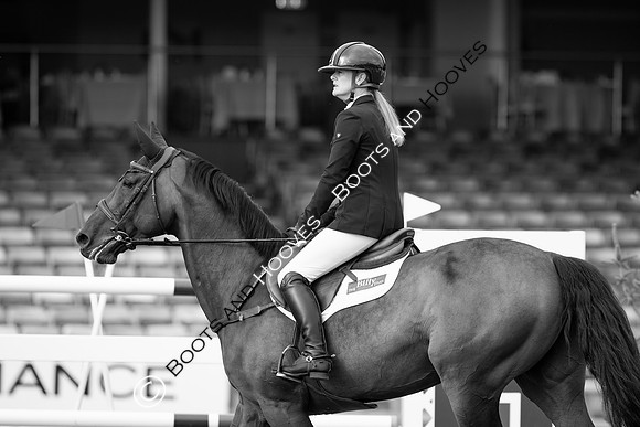 The Agria Royal International Horse Show