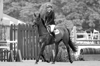 The Agria Royal International Horse Show