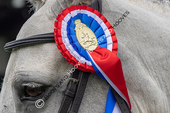 The Agria Royal International Horse Show