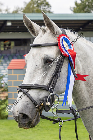 The Agria Royal International Horse Show