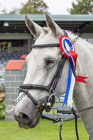 The Agria Royal International Horse Show