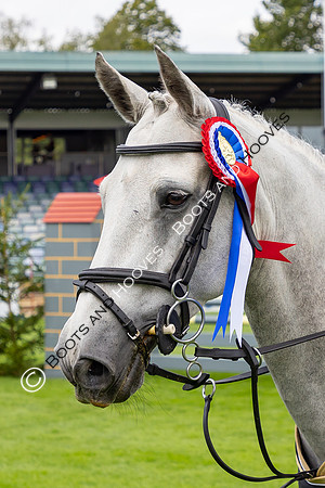 The Agria Royal International Horse Show