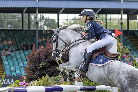 The Agria Royal International Horse Show