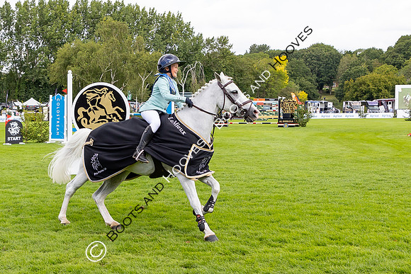 The Agria Royal International Horse Show