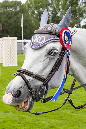 The Agria Royal International Horse Show