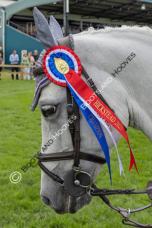 The Agria Royal International Horse Show