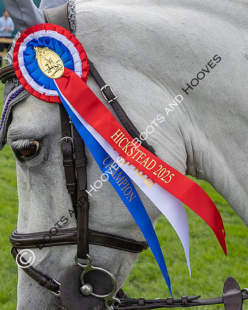 The Agria Royal International Horse Show