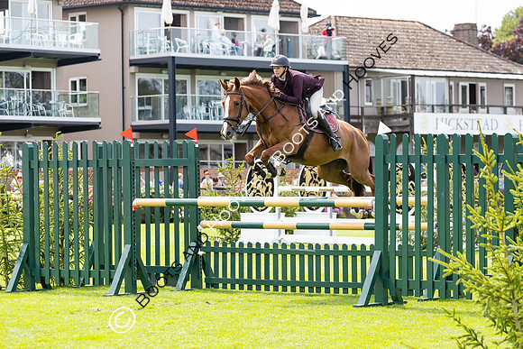 The Agria Royal International Horse Show