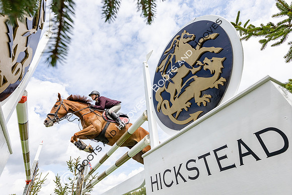 The Agria Royal International Horse Show