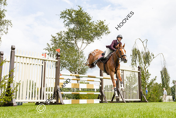 The Agria Royal International Horse Show