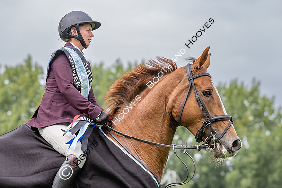 The Agria Royal International Horse Show
