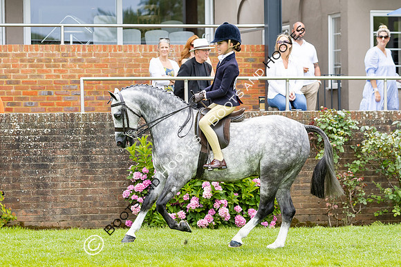 The Agria Royal International Horse Show