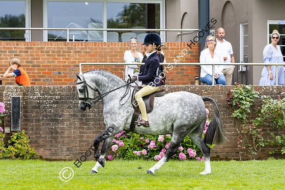 The Agria Royal International Horse Show