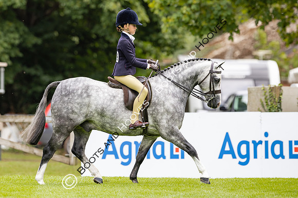 The Agria Royal International Horse Show