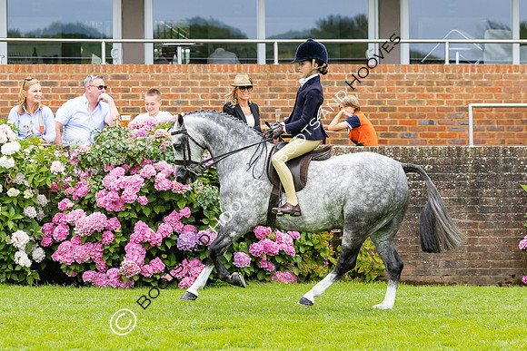 The Agria Royal International Horse Show