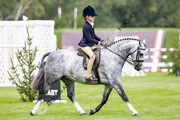 The Agria Royal International Horse Show