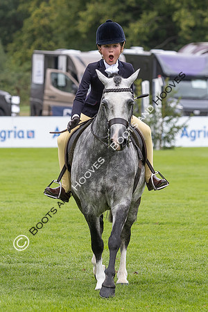 The Agria Royal International Horse Show