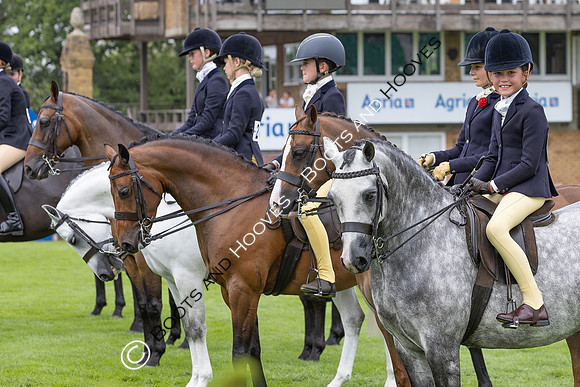 The Agria Royal International Horse Show