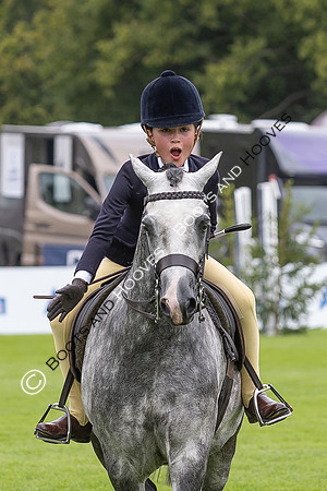 The Agria Royal International Horse Show