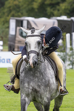 The Agria Royal International Horse Show