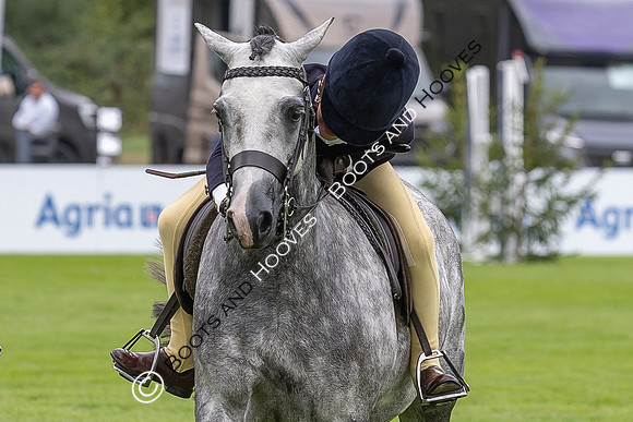 The Agria Royal International Horse Show