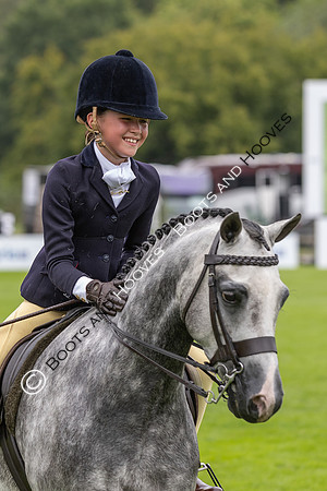 The Agria Royal International Horse Show