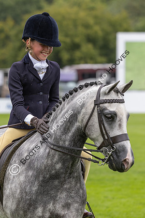 The Agria Royal International Horse Show