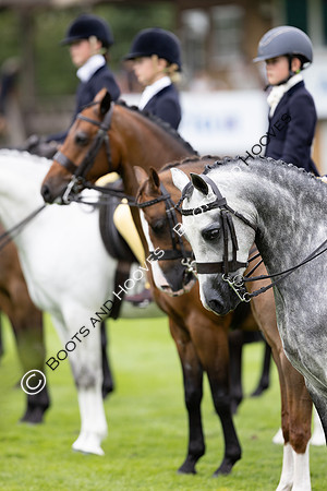 The Agria Royal International Horse Show