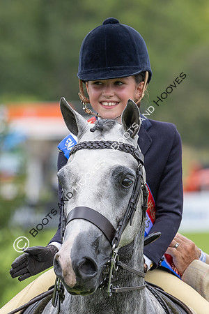 The Agria Royal International Horse Show