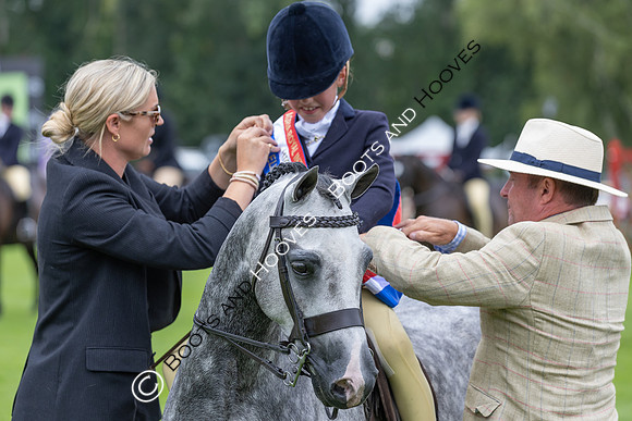 The Agria Royal International Horse Show