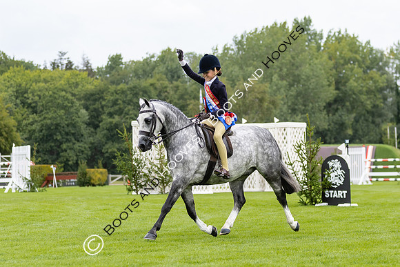 The Agria Royal International Horse Show