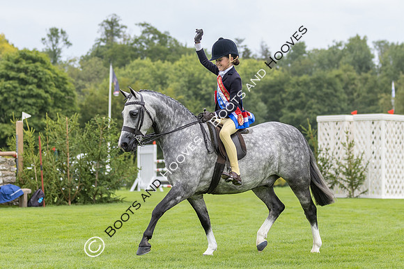 The Agria Royal International Horse Show