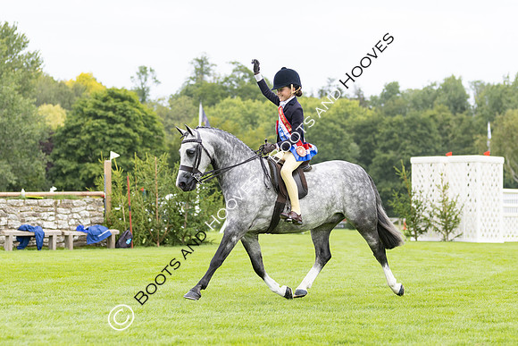 The Agria Royal International Horse Show