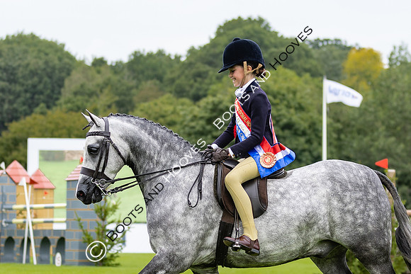 The Agria Royal International Horse Show