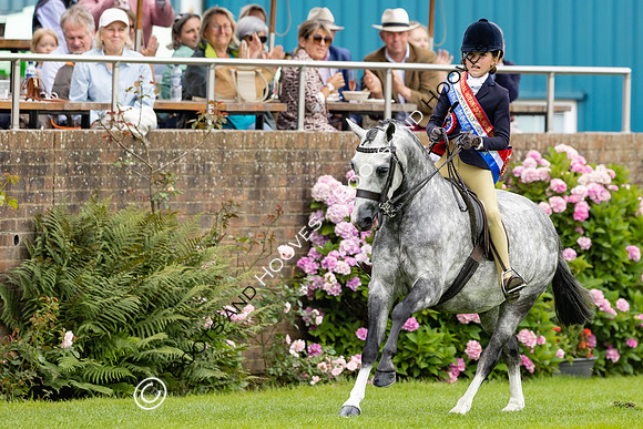 The Agria Royal International Horse Show