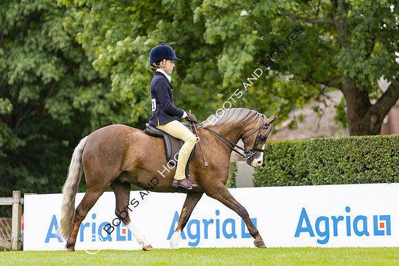 The Agria Royal International Horse Show
